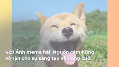 Ảnh meme hài: Nguồn cảm hứng vô tận cho sự sáng tạo và tiếng cười