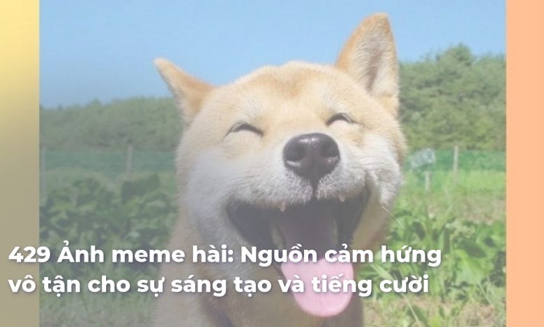Ảnh meme hài: Nguồn cảm hứng vô tận cho sự sáng tạo và tiếng cười
