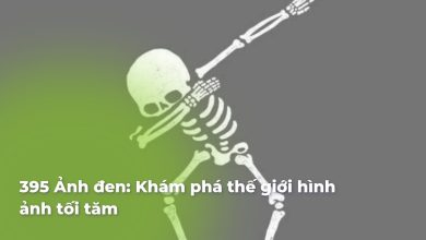 Ảnh đen: Khám phá thế giới hình ảnh tối tăm
