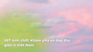 Ảnh chill: Khám phá vẻ đẹp thư giãn ở Việt Nam