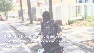 Ảnh boy phố: Bức tranh sống động về cuộc sống của các cậu bé Việt Nam