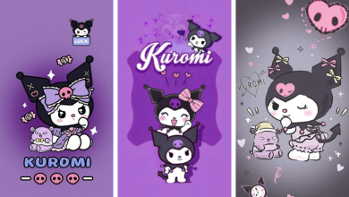 Ảnh Kuromi cute - Biểu tượng dễ thương và cá tính độc đáo trong thế giới hoạt hình
