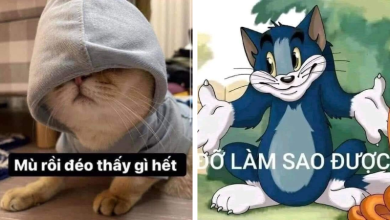 Meme Hết cứu – Trào lưu mới trong cộng đồng mạng xã hội Việt Nam