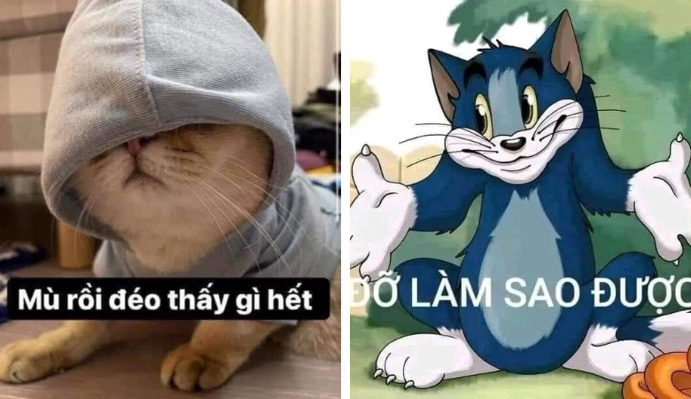 Meme Hết cứu – Trào lưu mới trong cộng đồng mạng xã hội Việt Nam