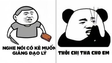 Album 213+ Thế giới đa dạng Ảnh meme: Phương thức giao tiếp mới