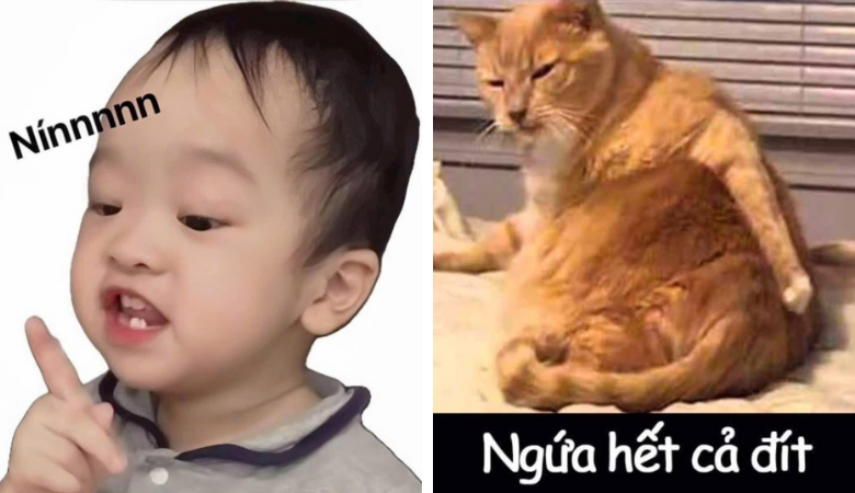 Meme hài: Khám phá thú vị văn hóa và ngôn ngữ Việt Nam