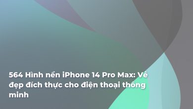 Hình nền iPhone 14 Pro Max: Vẻ đẹp đích thực cho điện thoại thông minh