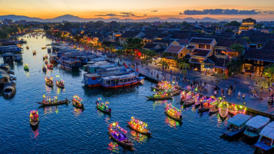 Khám phá vẻ đẹp hùng vĩ của phong cảnh Việt Nam