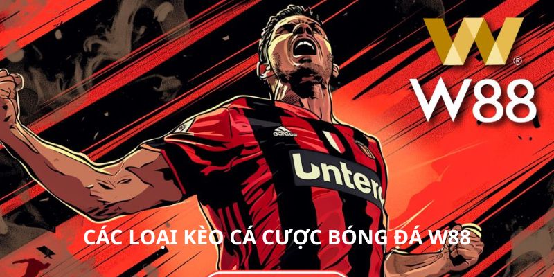 Đa dạng các loại kèo hội tụ tại W88
