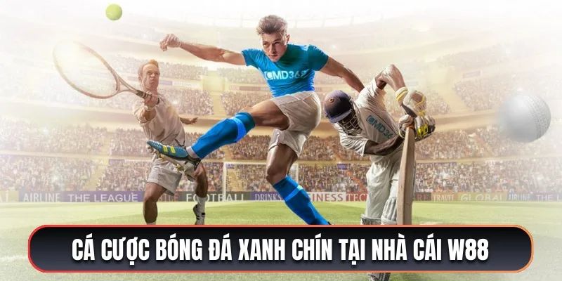 Tính năng nổi bật trong cá cược bóng đá W88