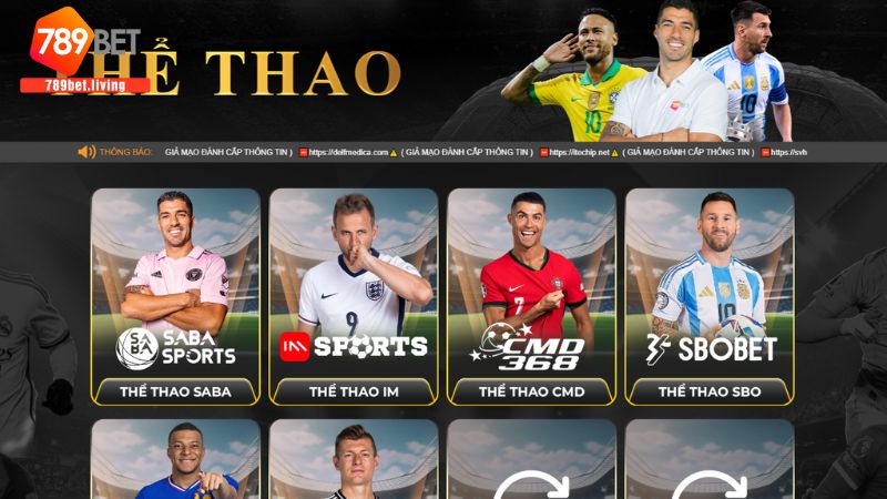 Giới thiệu sảnh thể thao 789bet