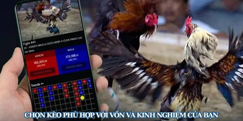 Chọn kèo phù hợp với vốn và kinh nghiệm của bạn