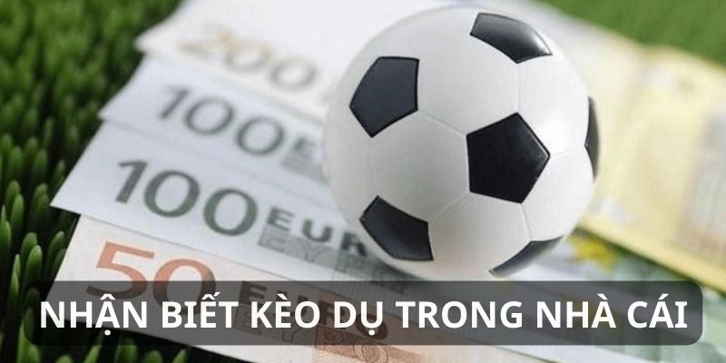 Nhận biết kèo dụ 8kbet với các đặc điểm riêng biệt