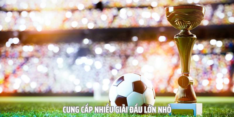Hiện nay, nhà cái này còn cung cấp nhiều giải đấu hàng đầu thế giới