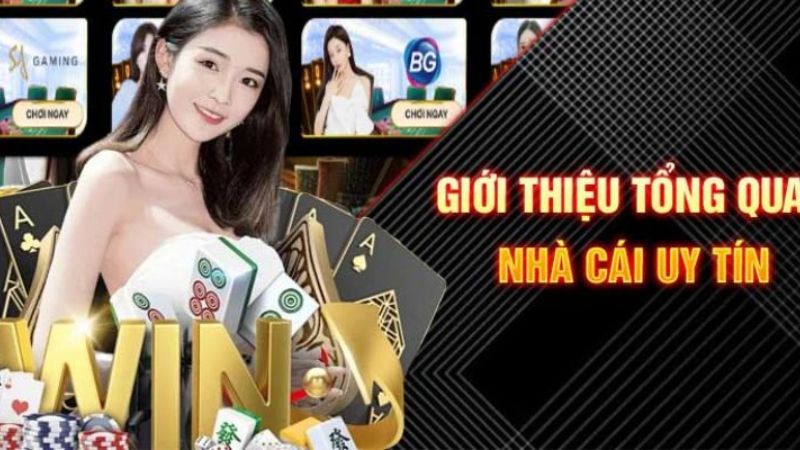 Tổng quan một vài nét về sân chơi cá độ Vsbet