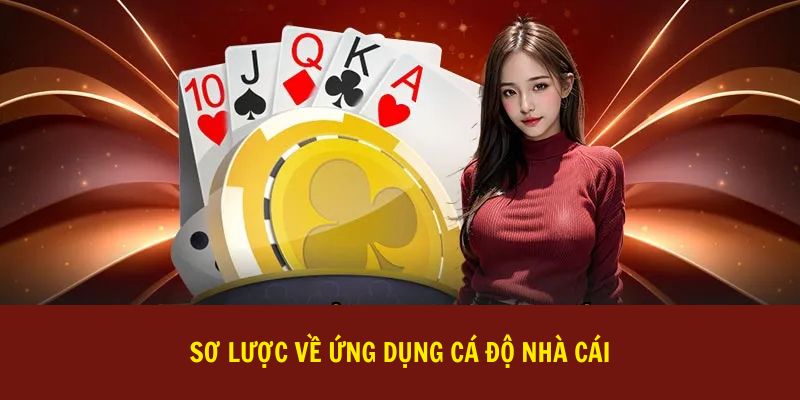 Sơ lược về ứng dụng cá độ nhà cái
