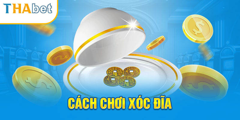 Thành viên cần nắm bắt luật chơi xóc đĩa ăn tiền tại nhà cái Thabet