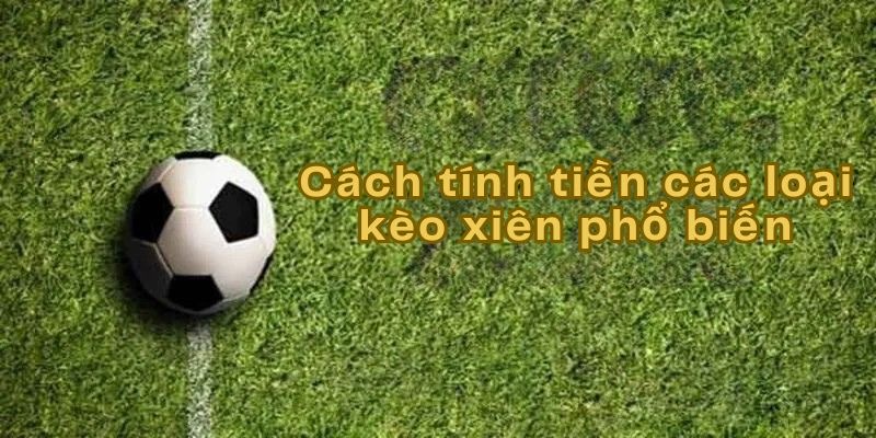 Cách tính của các loại kèo xiên phổ biến