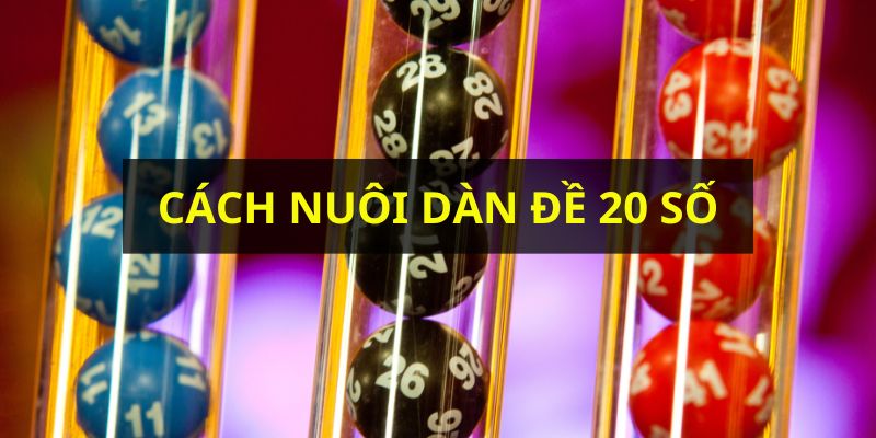 Cách nuôi dàn đề 20 số khung 3 ngày chiến thắng