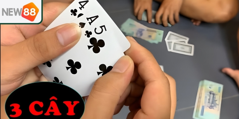 Những sai lầm tân binh thường gặp khi chơi 3 cây