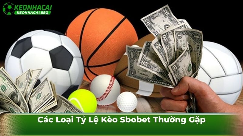 Các Loại Tỷ Lệ Kèo Sbobet Thường Gặp