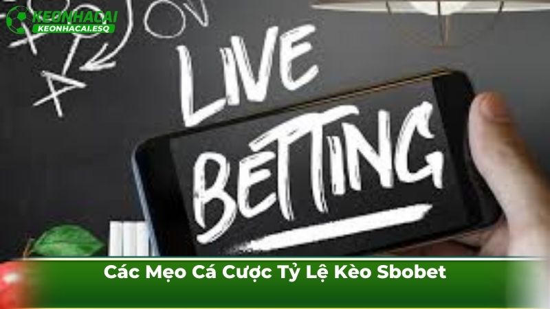 Các Mẹo Cá Cược Tỷ Lệ Kèo Sbobet