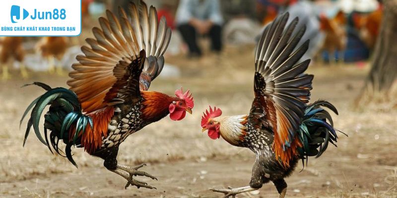 Thời gian thi đấu quyết định thắng thua trong từng hiệp đấu