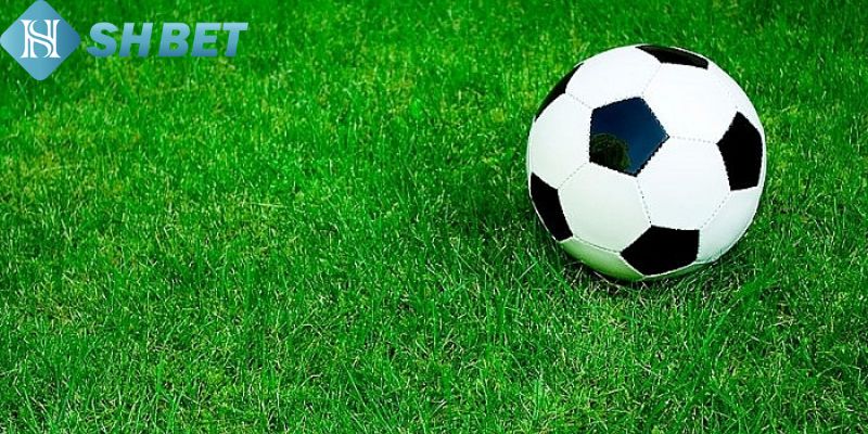 Chiến thuật cá cược với kèo 1/4 tại Shbet