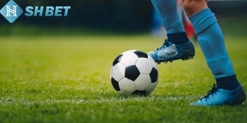 Lý do chọn Shbet để cá cược kèo chấp 1/4