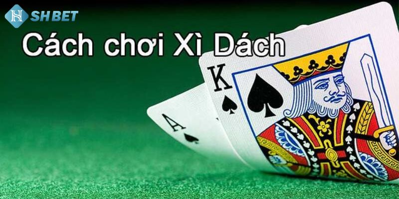 Giới thiệu về bài xì dách trên Shbet