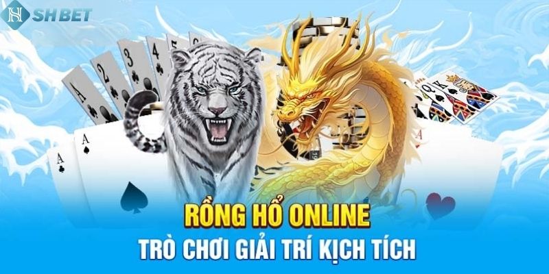 Rồng Hổ Shbet Là Gì?