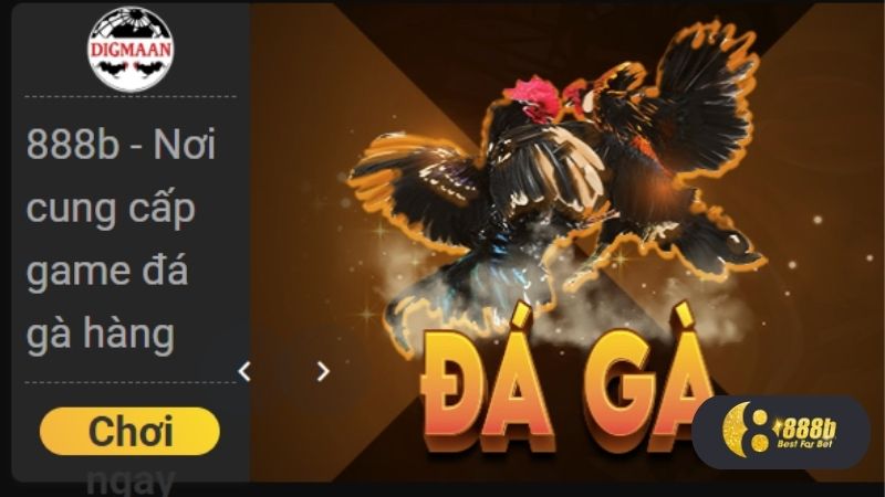 Thế nào là đá gà 888B?