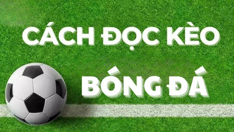 Hướng Dẫn Chi Tiết Cách Đọc Kèo bongdalu Cho Người Mới Bắt Đầu